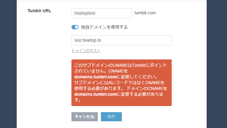 Tumblr custom dmain